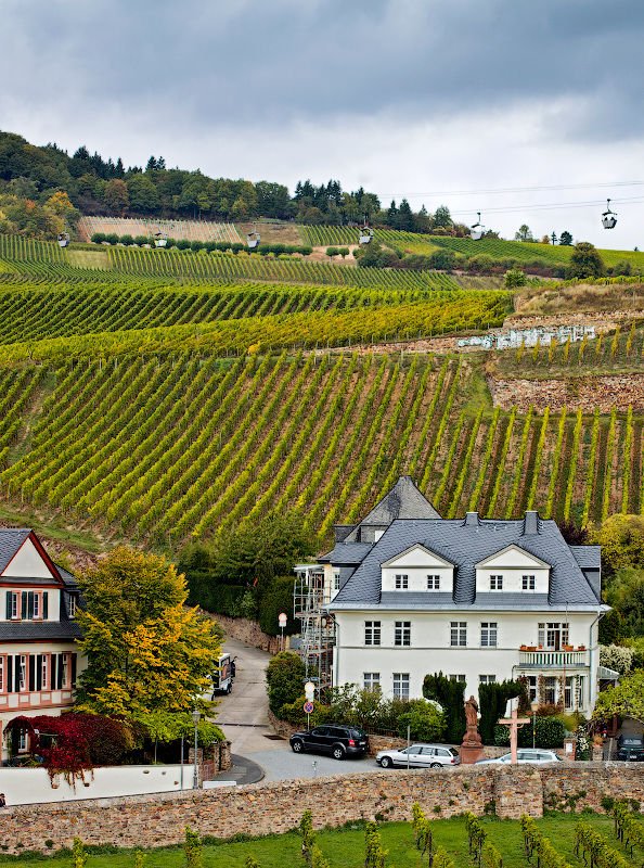 Rüdesheim am Rhein - Lina Kurbanovsky