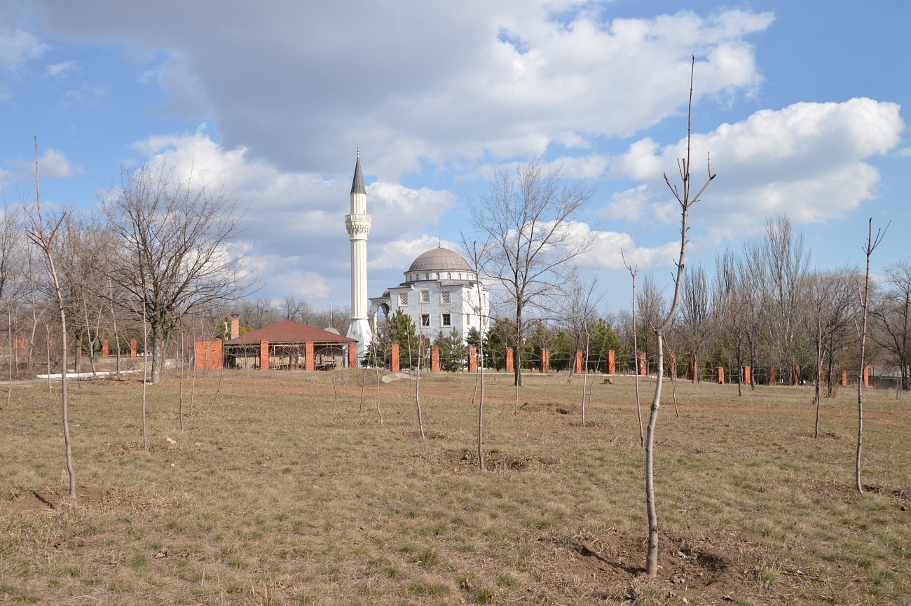 мечеть вид  сбоку - Александр Кузин