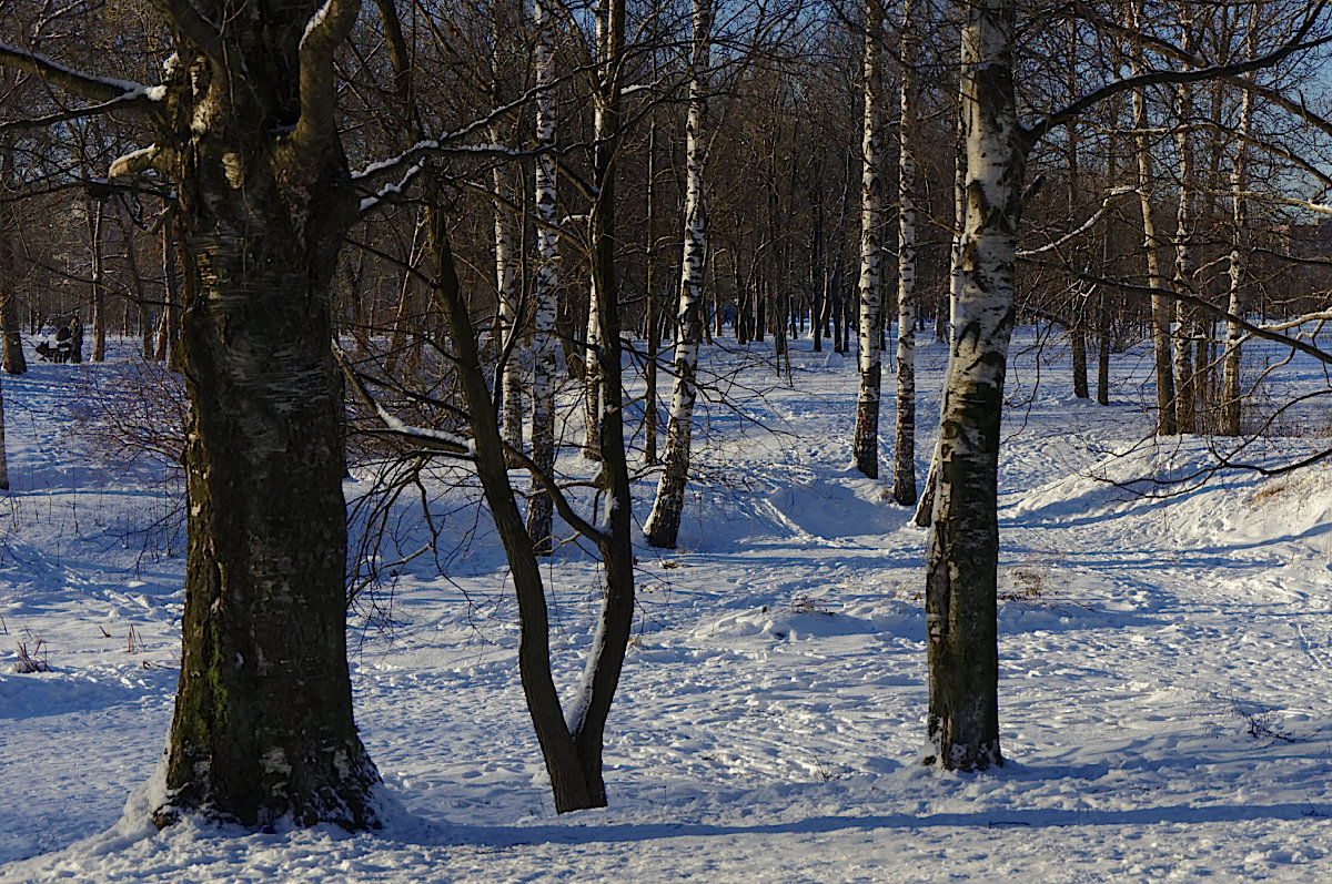 *** - Leonid Volodko