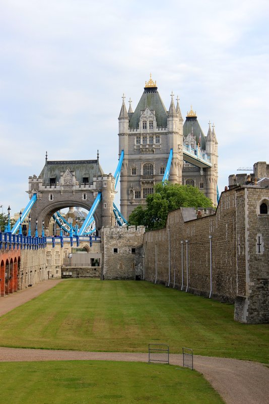 the Tower Bridge 2 - Olga 