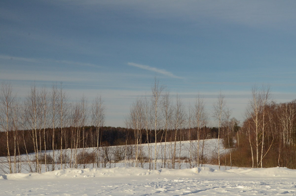 Зимний пейзаж - demyanikita 