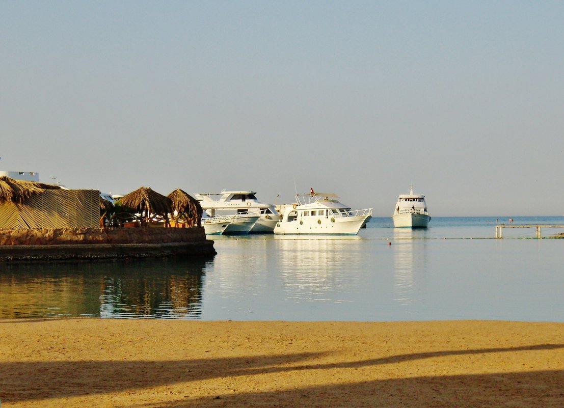 Красное море вечером - Лина Пушок 