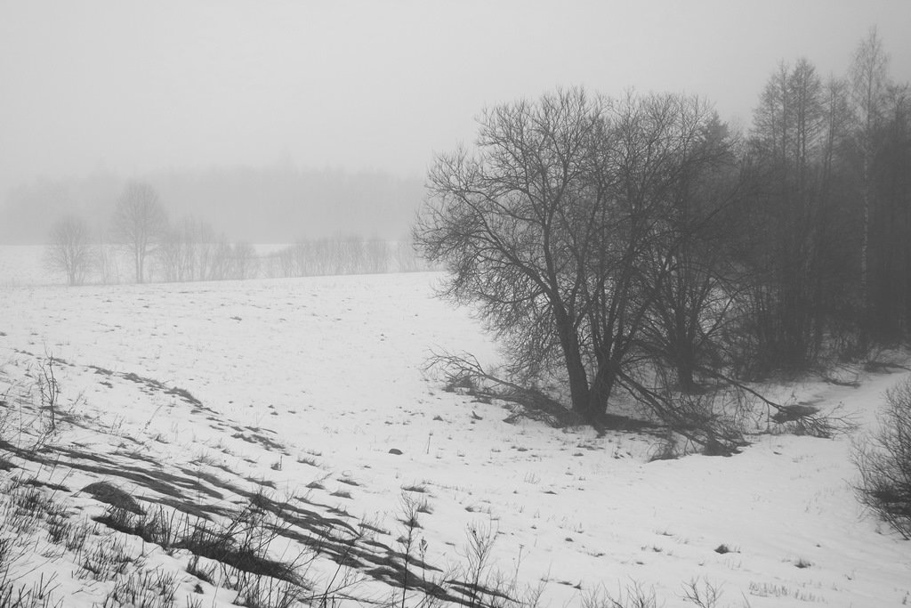 Туманные дни в конце февраля (2) - Юрий Бондер