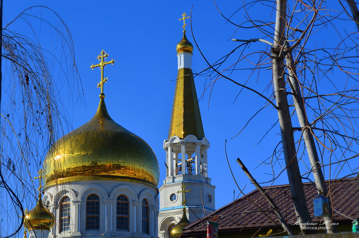 Февраль. Грачи ещё не прилетели... - Юлия Назаренко