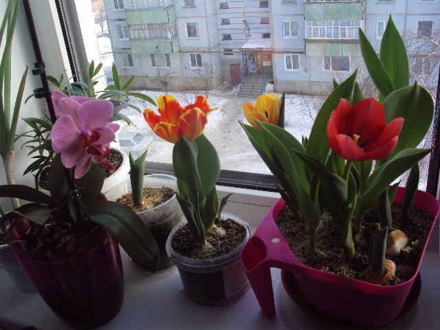 весна пришла - Татьяна Агеева