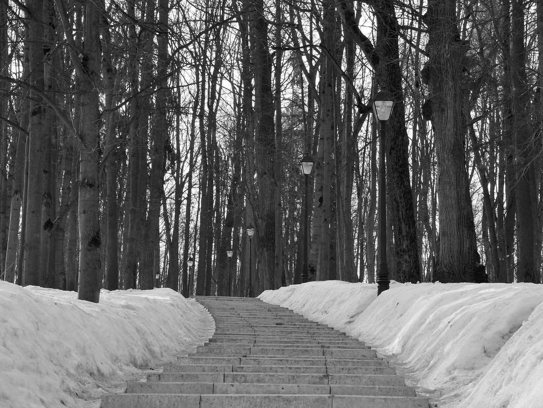 Лестница в парке - Игорь 