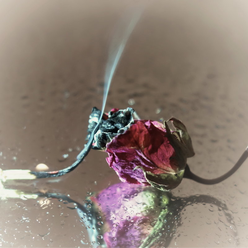 Пепел розы - Игорь 