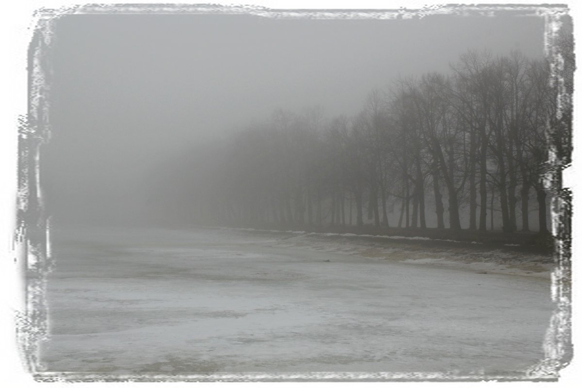 Красный пруд в тумане - Lesya Vi