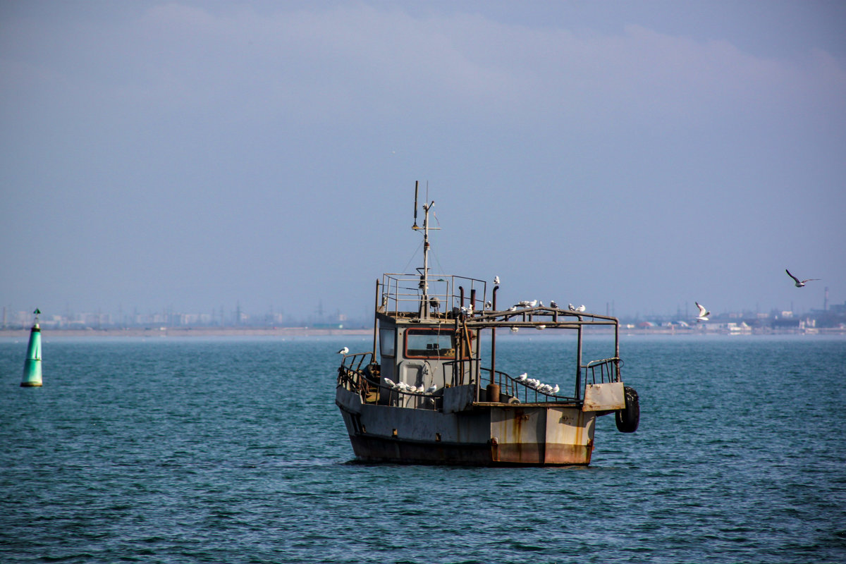 Ржавчина в море - Анна 