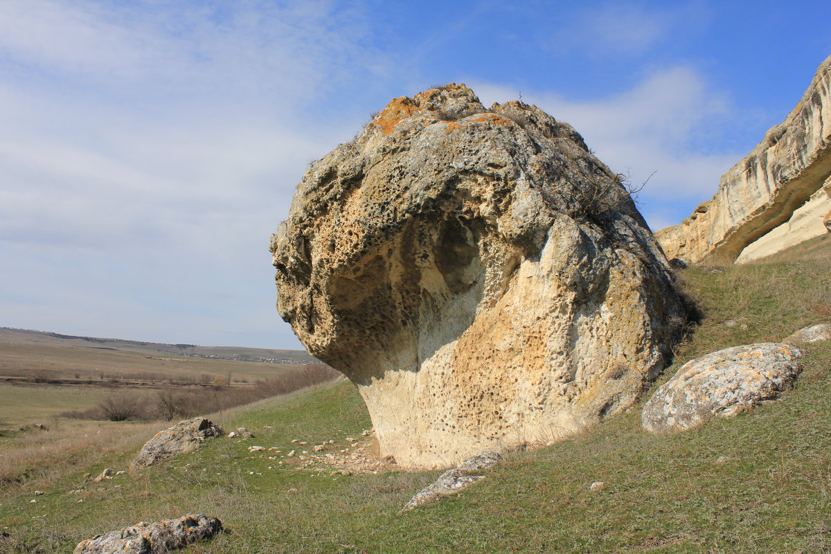 *** - Светлана Калинина