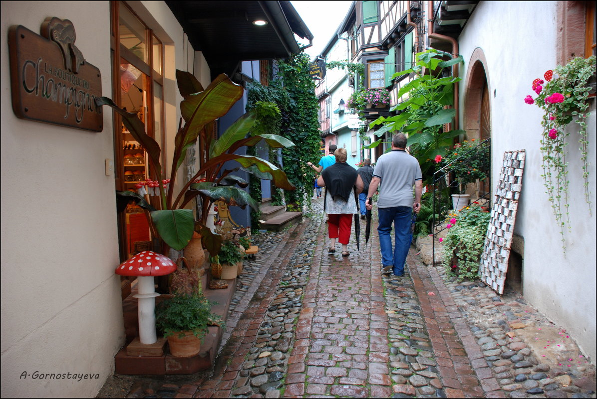 Eguisheim (Эгишем). - Anna Gornostayeva