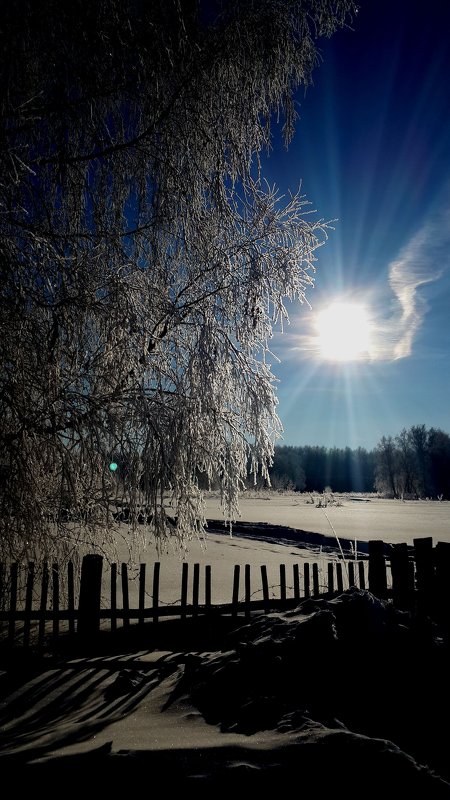 Зимнее солнце - Нина 