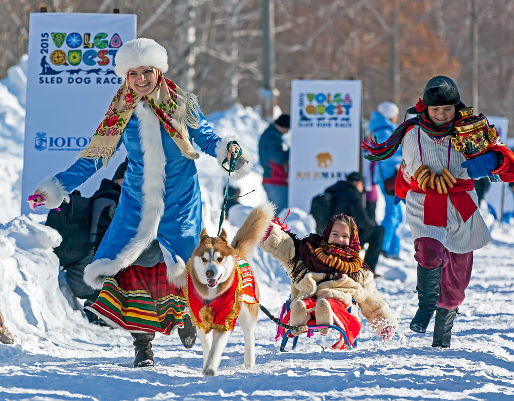 Международный фестиваль ездового спорта "Волга квест 2015" - Сергей Щербатюк