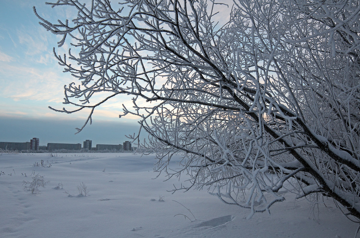 Северодвинск. Недавно была зима. У театрального озера - Владимир Шибинский