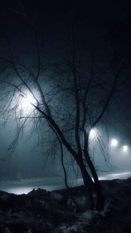 Ночь,улица,фонарь... - Валерий Стогов