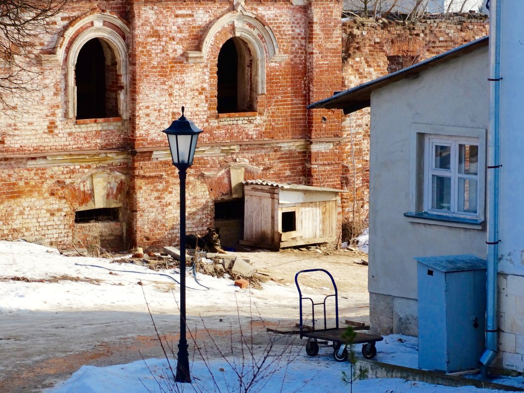 Охраняет старые стены монастыря - Светлана Лысенко