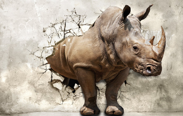 Носорог из стены - Vita Painter