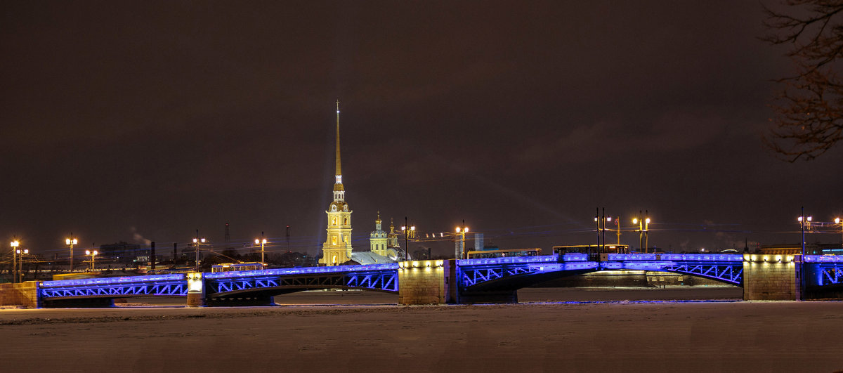 Дворцовый мост - Евгений Никифоров