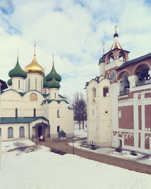 Суздаль, Спасо-Евфимиев монастырь - Larisa Ulanova