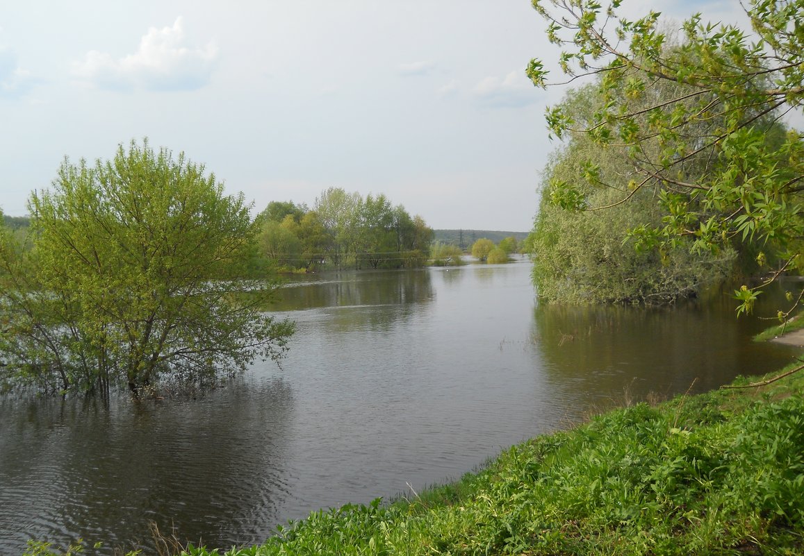 Весна .Разлив.  2 - Галина Медведева