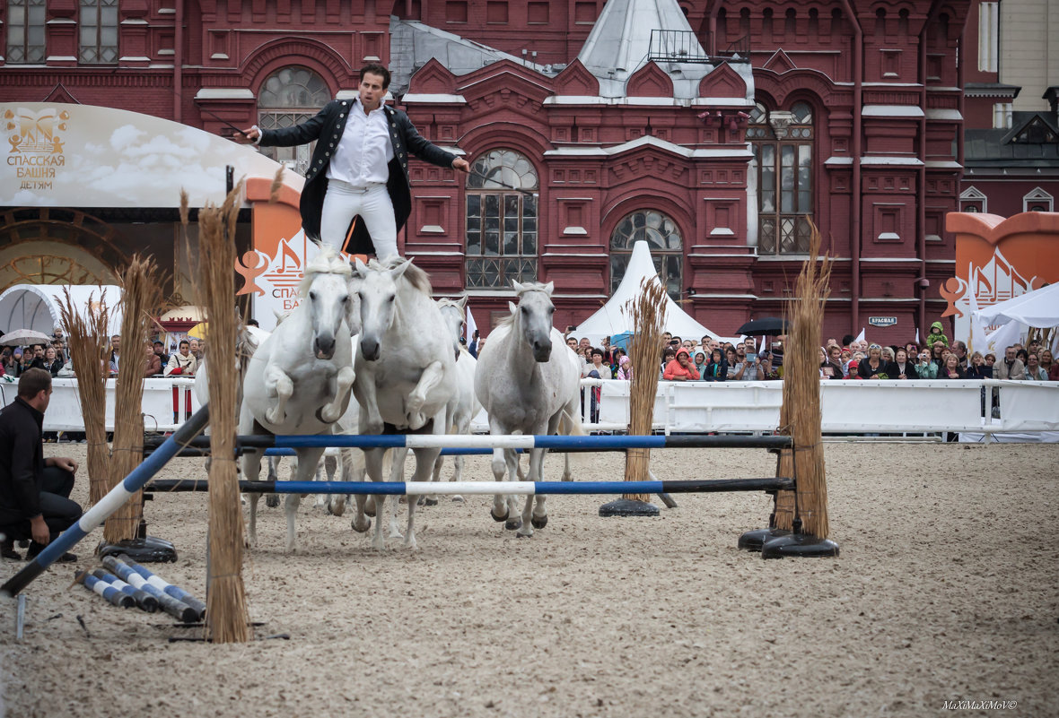 01 Конное шоу - Lorenzo Emotion horse show in Moscow - Максим Максимов