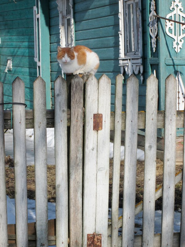 На столбике. - Михаил Попов