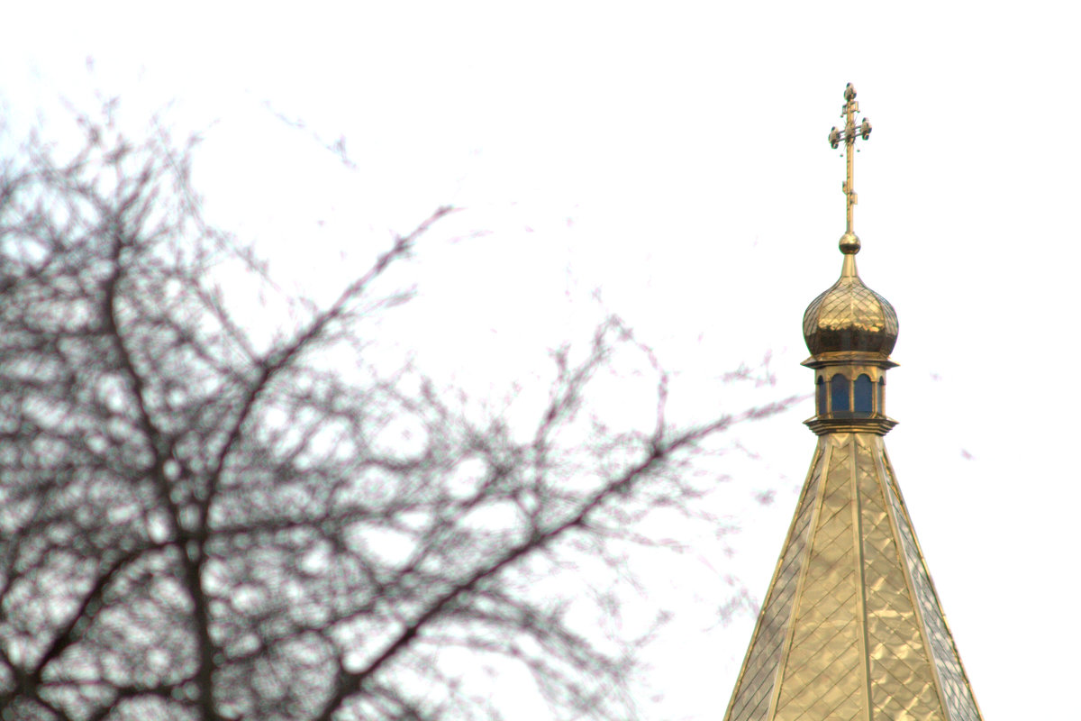 Новые купола женского монастыря - Герман Левченко