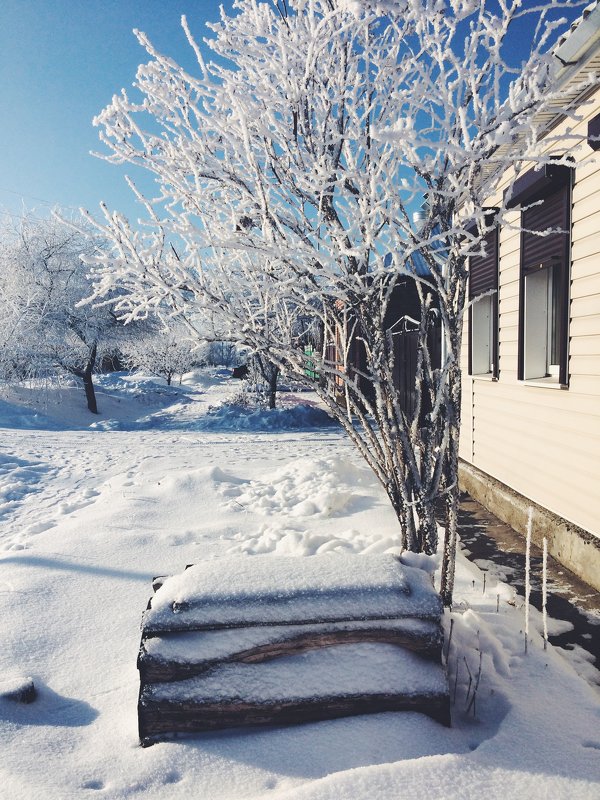 beautiful white winter / прекрасная белая зима - Настенька Сорокина