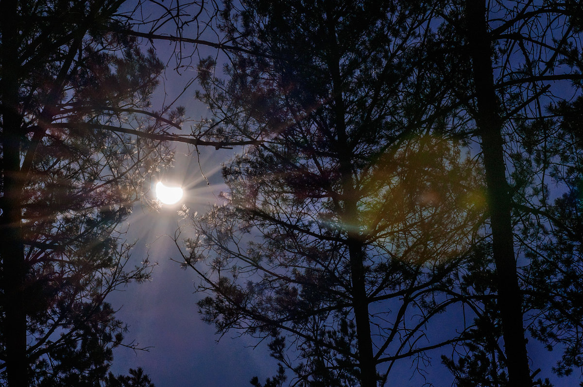 Частичное солнечное затмение  видимое в Шумилино 20.03.2015 в 13-08. - Анатолий Клепешнёв