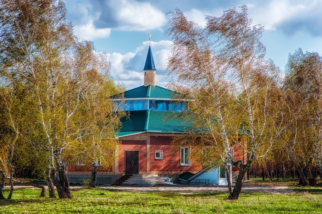 Новая мечеть - Лев Квитченко