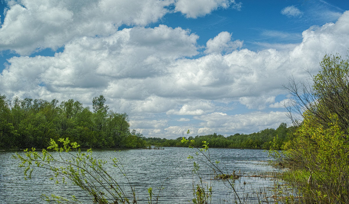 Весна. У реки. 29.05.2014. Sigma DP2 Merrill - Vadim Piottukh 