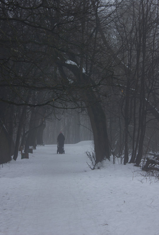 в тумане - Светлана Соловьева