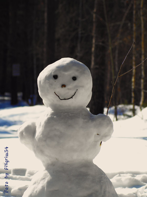 Веселый весенний снеговик - Анатолий Piligrim54 Крюков