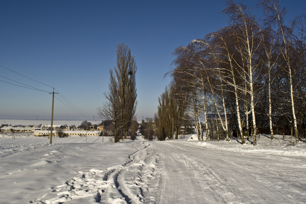 Дорога в село - Владимир ЯЩУК