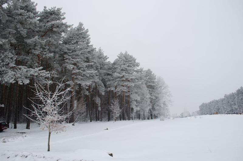 зимний пейзаж - Константин Рудинский