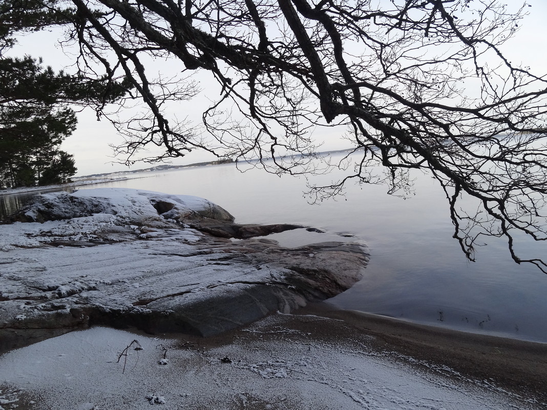 Камень, дерево, вода... - Светлана Масюкевич