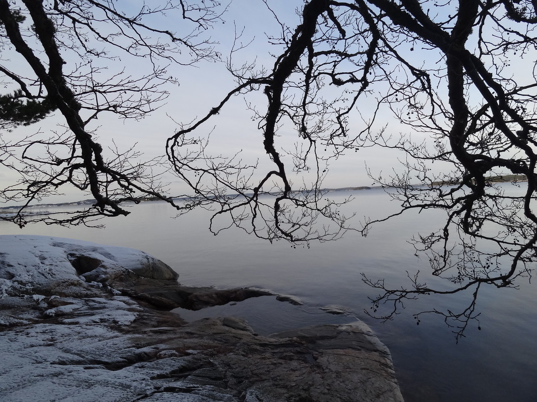 На берегу Балтики. Финляндия, январь 2012 - Светлана Масюкевич