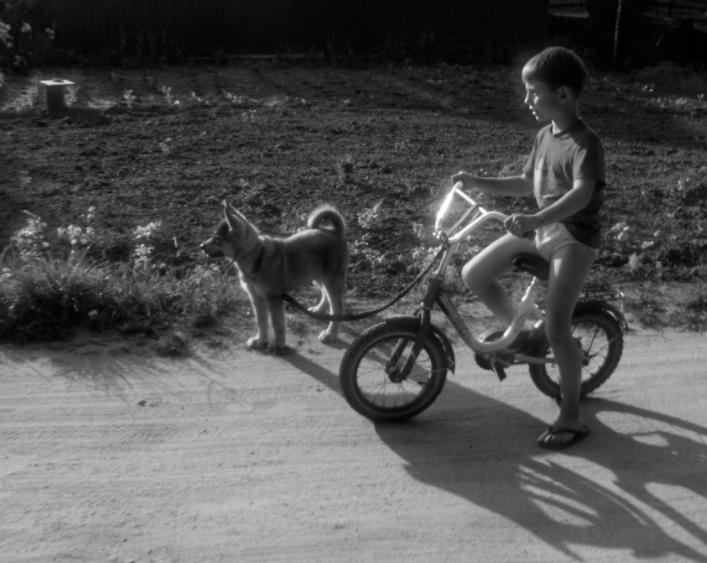Мальчик с собакой - Александр Никитин