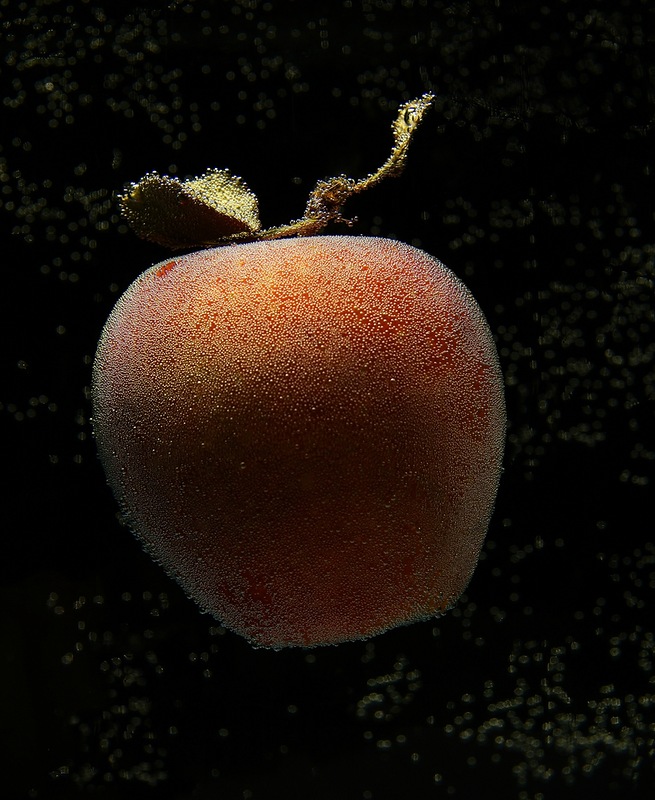 Космическое яблоко - Валерия заноска