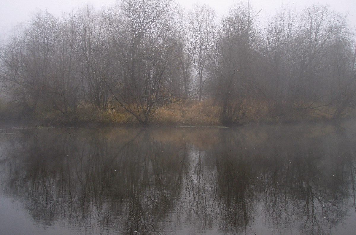 Осень. Туман - Сергей Комков