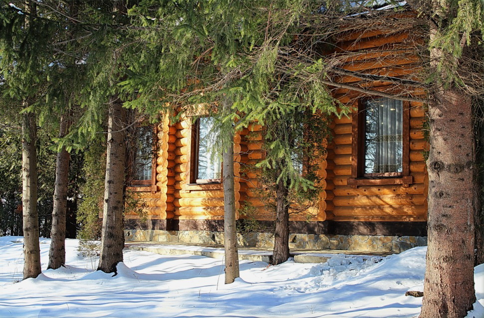 домик в лесу - Владимир Хижко