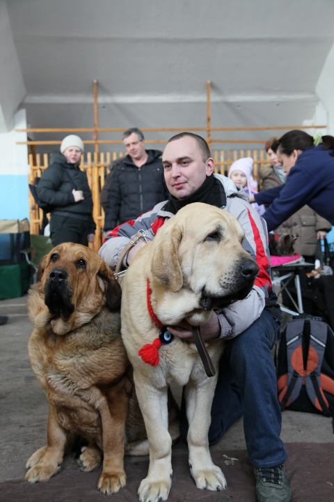 Выставка собак 12.02.2012 - Андрей Юзеев