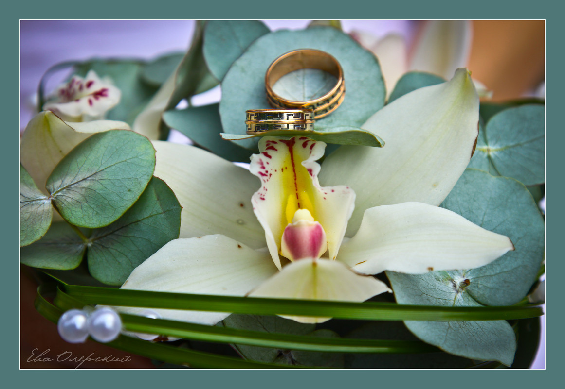 Орхидея любви - Ева Олерских