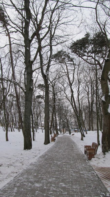 Зеленоградск - Валентина Дмитровская