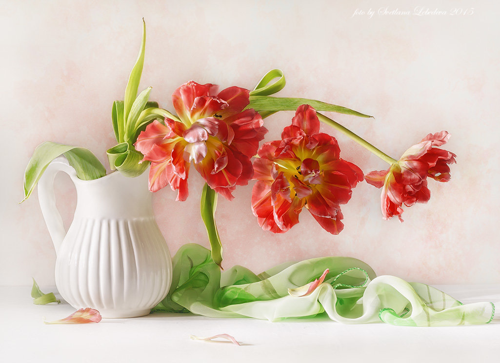 С красными тюльпанами в белом кувшинчике - Светлана Л.