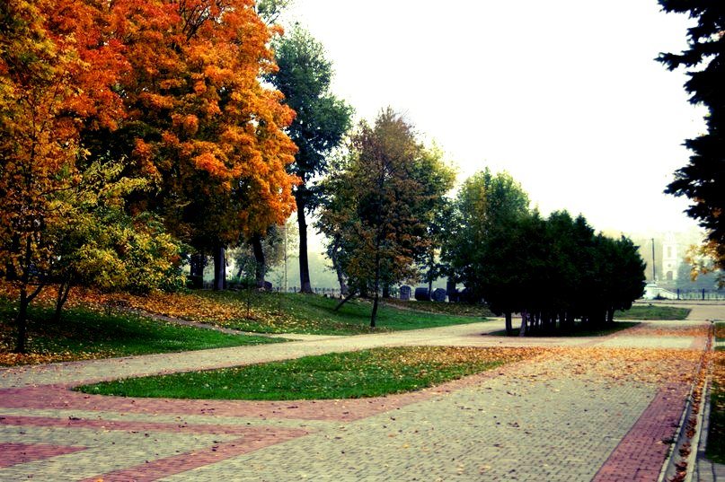 Осень в городском саду. - Юлия Дмитриева