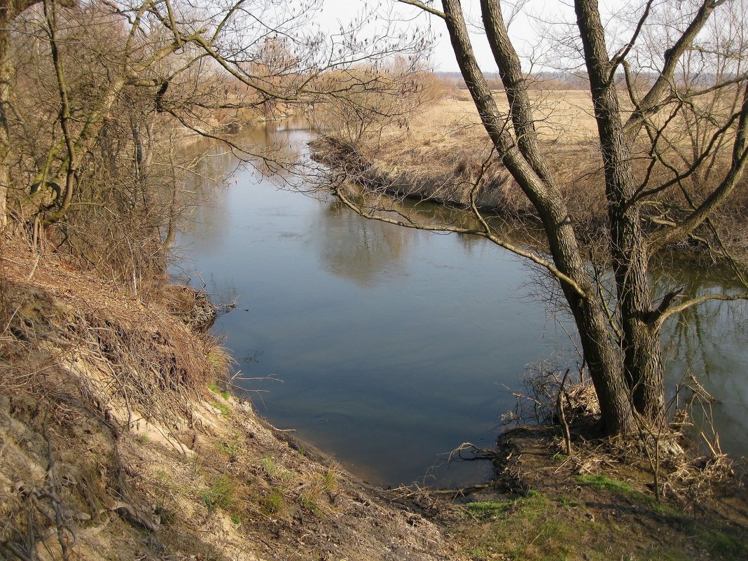 Река Случь кубков Украина Березне Маринин