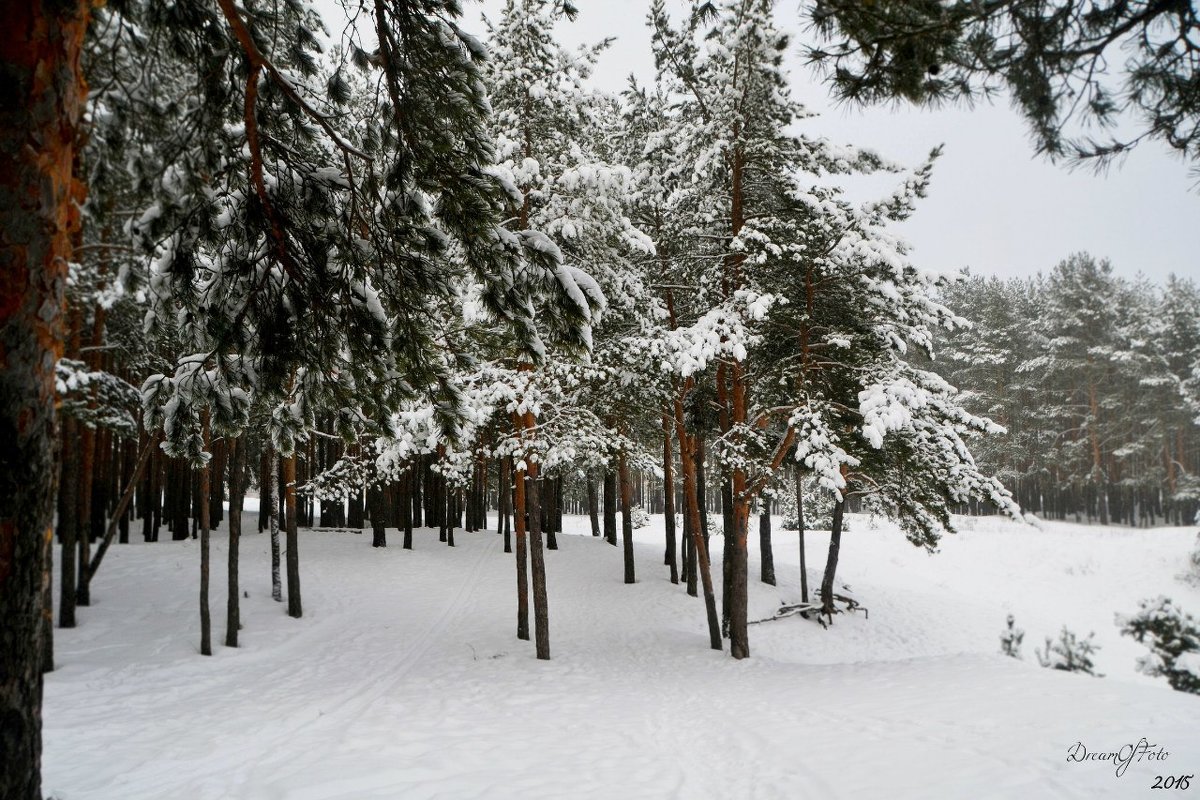 загородный парк - Любовь Смирнова