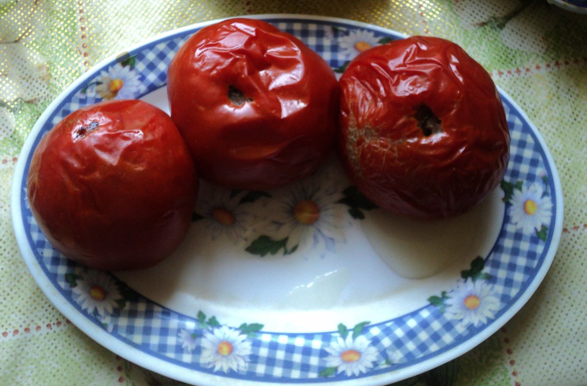Новая диета для похудения разработана неизвестным доктором,3 солёных помидора на завтрак, обед, ужин - Ольга Кривых