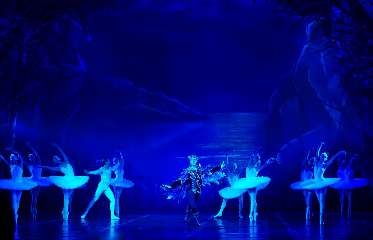 Сцена из балета "Лебединое Озеро" - Владимир Максимов